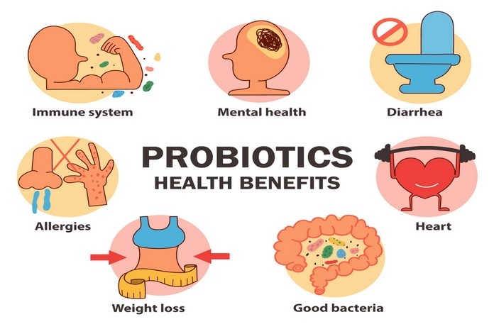 Probiotics for weight loss-1