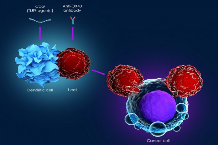 How does immunotherapy work?