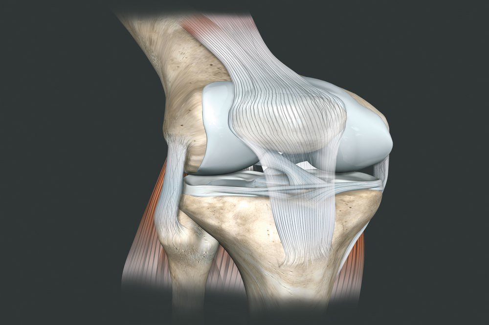 Inner Knee Pain, Types, Symptoms, Causes, Diagnosis, Risk Factors, and Treatment