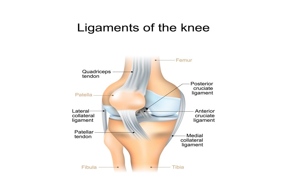 Multiple Ligament Knee Injuries (MLKI)