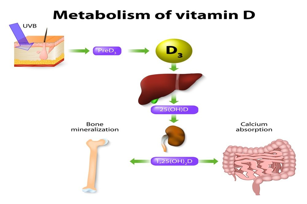 Benefits of Vitamin D3 