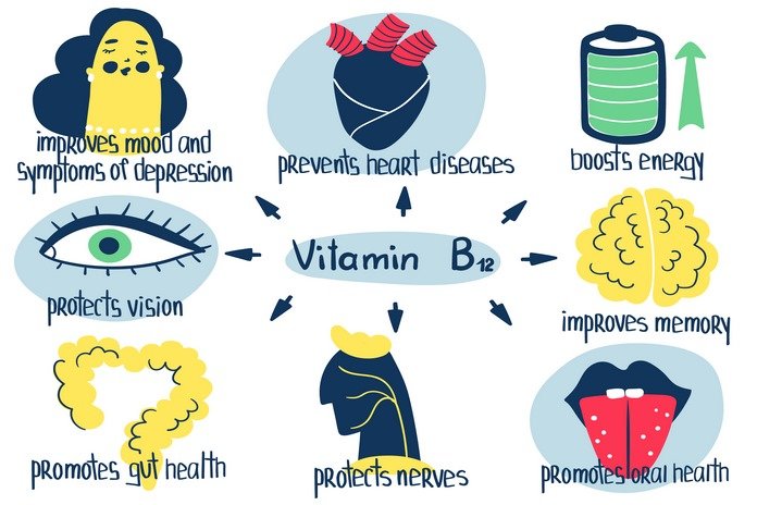 Vitamin B12 Function