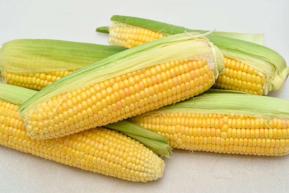 Yellow sweet corn 