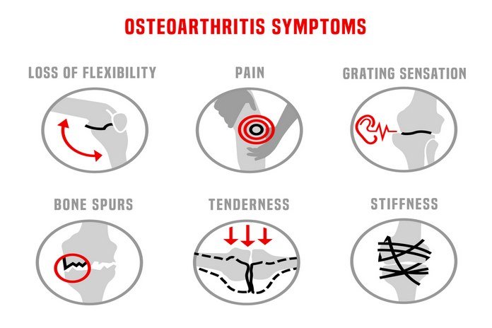 Might reduce the symptoms of osteoarthritis