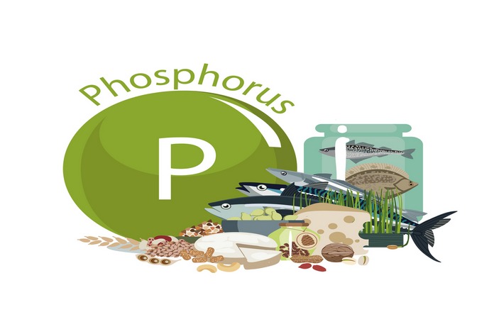 Top 10 Foods That Are High in Phosphorus