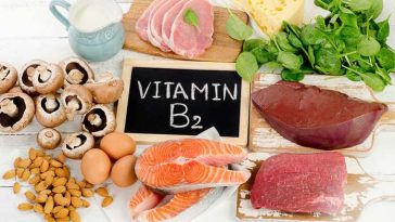 Top 15 Foods Highest in Vitamin B2 (Riboflavin)