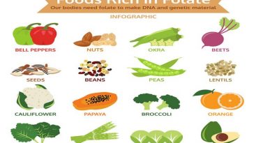 13 Healthy Foods That Are High in Folate (Folic Acid)