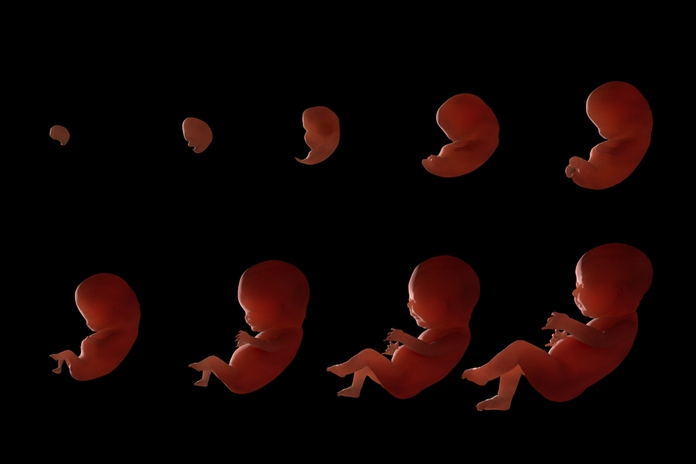 Aids In Fetal Development