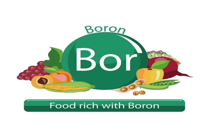20 Healthy Foods That Are High in Boron