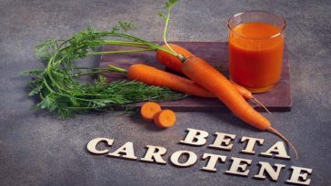 12 Best Beta Carotene Food Sources to Include in Your Diet