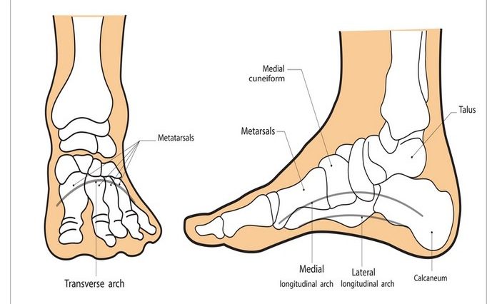 Common Foot Pain Diagnosis