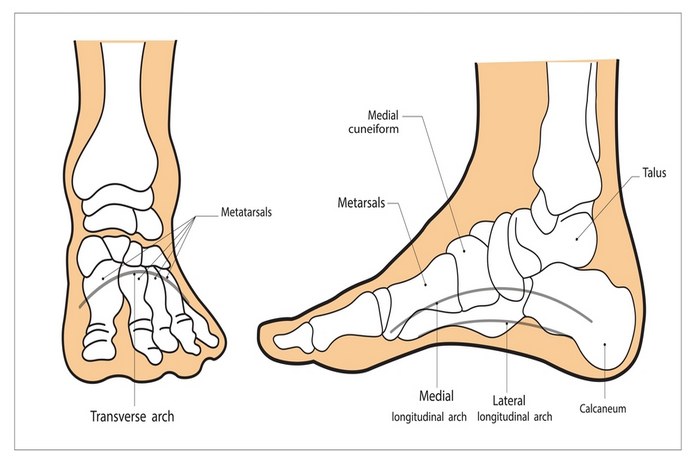 Common Foot Pain Diagnosis