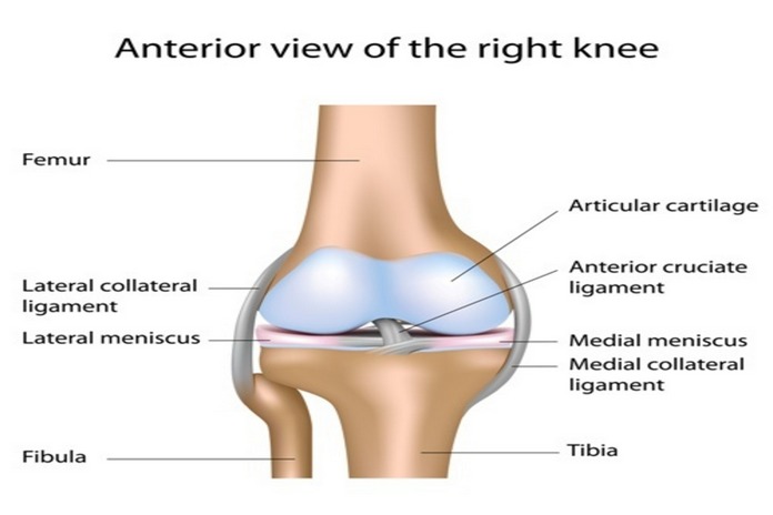 Knee pain basics