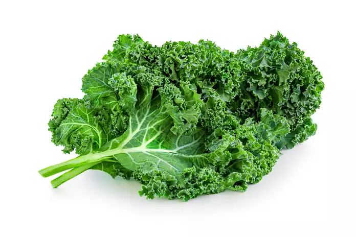 15 Amazing Health Benefits of Kale