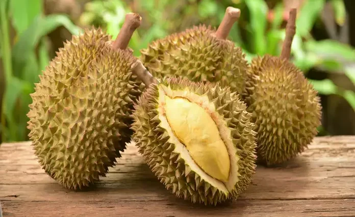 15 Amazing Benefits of Durian Fruit
